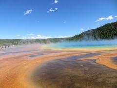 Prismatic Spring