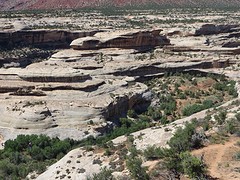 Natural Bridges NM