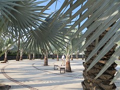 jardines