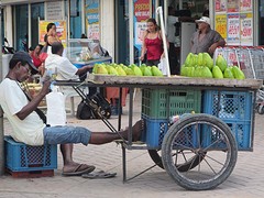 Fruitverkoop2