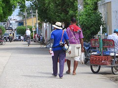 Tolu vishandel