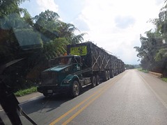 Suikerriet transport