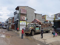 Kippenbus2