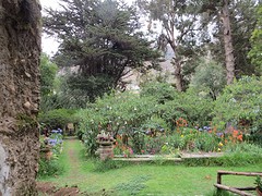 Hacienda Florida (2)