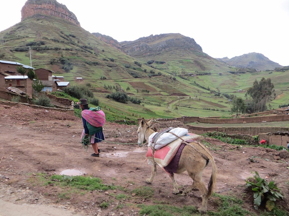 transport