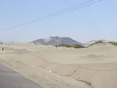 Zandduinen