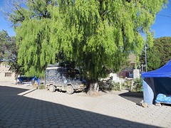 onder de bomen
