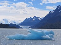 Grey Gletsjer