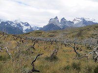 Torres del Paine