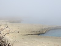 mist