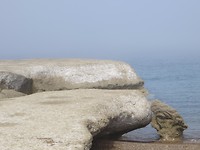 natuursculptuur