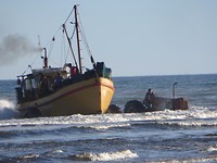 Clamorecó (2)