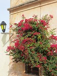 Colonia del Sacramento