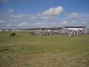 paardenrace