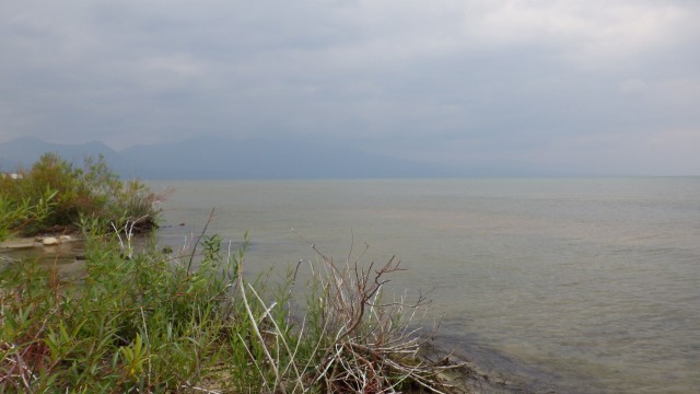 IMGP6201