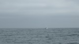 IMGP6480