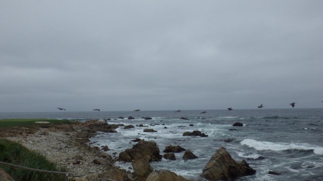 IMGP6563