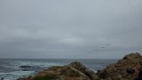 IMGP6564