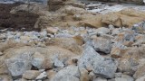 IMGP6572