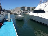 20140814_123645_resized