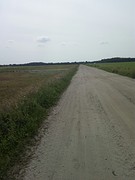 Zandpad Maashorst