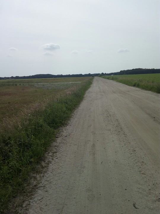Zandpad Maashorst