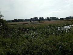 Liempde
