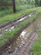 Wijboschbroek