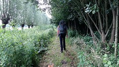 Spierkesbos