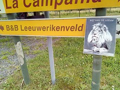 Wij van de leeuwerik
