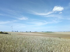 Franse land