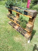 Kruidenpallet