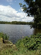 Grand-Folie vijver