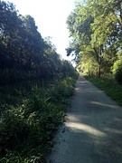 Route vandaag
