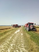 Laat de boeren maar dorsen