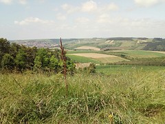 Franse land