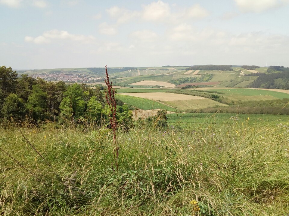 Franse land