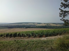 Accolay