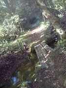 Jacobusbrug
