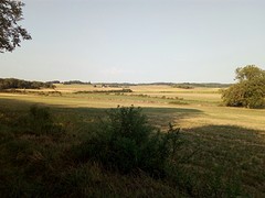 Mooi landschap