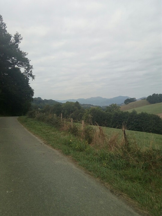 Landschap