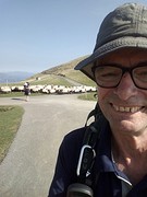 Gevolgd door schapen deze keer