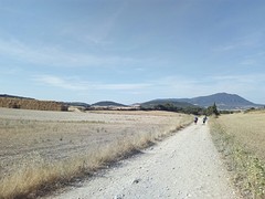 Pelgrimspad