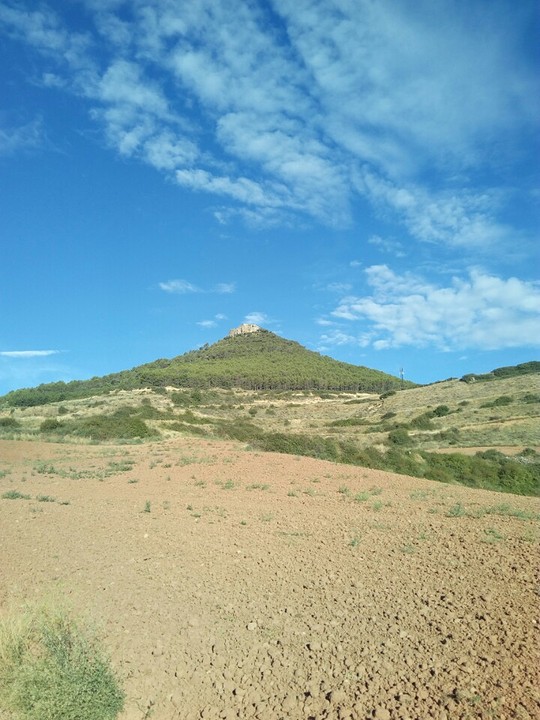 Fort