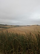 Rioja