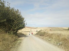 De weg naar......