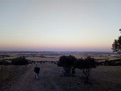 Burgos