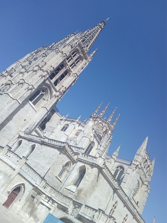 Kathedraal