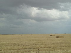 Hollands weer
