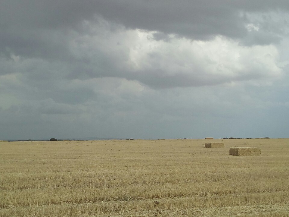 Hollands weer